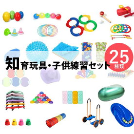 楽天市場 自閉症 知育玩具 学習玩具 おもちゃ の通販 楽天市場 自閉症 知育玩具 学習玩具 おもちゃ の通販