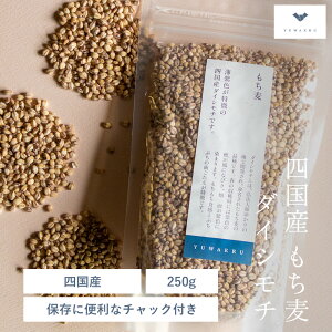  250g G _CV` lY | }NrIeBbN }Nr Y ނ  wXPA  h{ Hi v[g Hו AgVAj |tFm[ _CGbgT|[g H