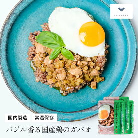 バジル香る国産鶏のガパオ 【140g×3個/10個セット】|レトルト どんぶり 無添加 | インスタント インスタント食品 ピリ辛 エスニック 野菜 丼 食品 食べ物 レトルト食品 料理 美味しい 食料品 簡単調理 時短 レンジ 化学調味料不使用 バジル