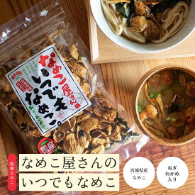 なめこ屋さんのいつでもなめこ｜乾燥なめこ きのこ 味噌汁乾燥なめこ 乾燥わかめ わかめ 乾燥ねぎ ねぎ 炊き込みご飯　汁物 みそ汁 味噌汁の具 なめこ 乾燥