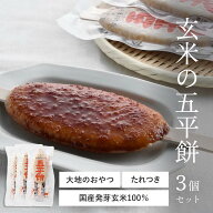 玄米の五平餅 3個セット お菓子 和菓子 ごへいもち 五平もち お取り寄せ ごま 団子 人気 スイーツ 菓子 …