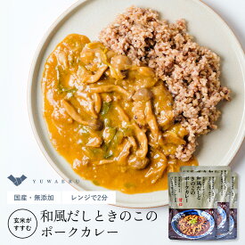 和風だしときのこのポークカレー3個セット レトルトカレー | レトルト レンジ カレー 温めるだけ レトルト食品 レンチン ご飯のお供 カレーライス お取り寄せ 化学調味料無添加 美味しい 常温保存 お弁当 カレールー 無添加 こども 子ども 甘口 子供 和風カレー 結わえる