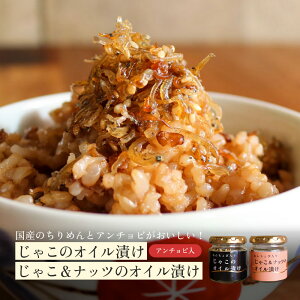 Ⴑ̃ICЂ2Zbg b Ⴑ̃ICЂ Ⴑibc̃ICЂ Y ߂񂶂Ⴑ̃ICЂ A`r r Y ˓C т̂  HׂIC