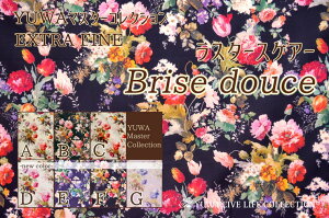 ԕ n YUWA}X^[RNV ExtraFine X^[XPA[ Brise douce / L֏X  GNXgt@C / EF664020