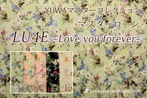 }X^[[ LU4E`Love you forever` / YUWA}X^[RNV L֏X YUWA n ԕ GKg NVJ  L֕005 / EF334053