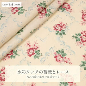 �z �V���[�e�B���O  Rose Lace  YUWA �L�֏��X ���� fabric �S6�F 10cm�P�ʐؔ��� 824940 �Ȃ� wave ���킢 small petite �v�` cream pink green purple blue white