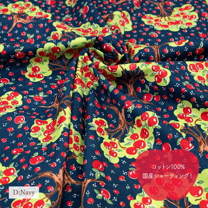 V[eBO YUWA L֏X h Apfel h S4F 10cmPʐؔ 829954 S Apple 