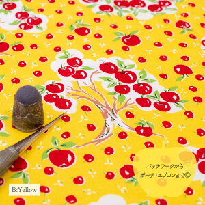 V[eBO YUWA L֏X h Apfel h S4F 10cmPʐؔ 829954 S Apple 