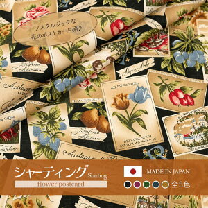 V[eBO YUWA L֏X h flower postcard h S5F 10cmPʐؔ 829963  i J[h