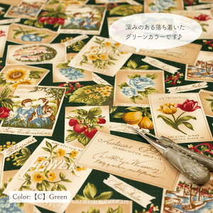 V[eBO YUWA L֏X h flower postcard h S5F 10cmPʐؔ 829963  i J[h