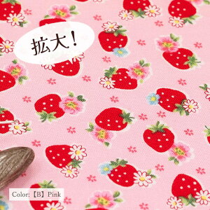 yēׁIzYUWA R֎q h Cutie Berry h V[eBO AT829962 10cmP ؂蔄 S6F L֏X n z nhCh  100 Rbg  red yellow pink white green blue