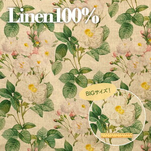  ^ l Limited S1F L֏X YUWA n  {^jJ LT444950 lR|X100cm܂