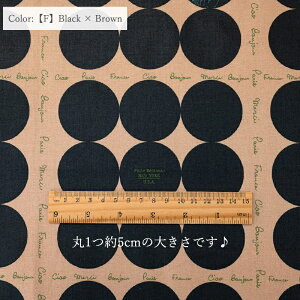 ֗q V[eBO rJrJ`c S6F  dot circle n 10cmP lR|Xő150cm SZ824972