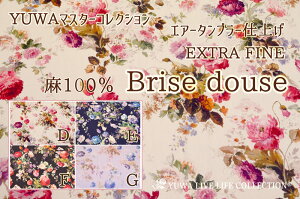 100 GA[^u[dグ Brise douse / L֏X YUWA YUWA}X^[RNV l EXTRA FINE | n NVJ GKg ԕ / EF444692