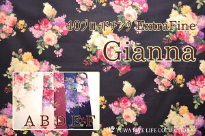 40u[h`c EXTRA FINE Gianna S5F / L֏X YUWA n ԕ | Rbg / EF025147 ؂蔄