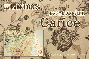 100 GWF\tgH Caprice / YUWA L֏X L n i` _炩 l u₩ / 576944