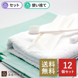 ＼ランキング1位獲得／「 タオルハブラシセットA 12個 」 使い捨て 160匁 タオル 歯ブラシ ハブラシ セット 男 男性 女 女性 トラベル 旅行 業務用 まとめ買い お泊まり 携帯用 来客用 ホテル 旅館 温泉 スパ サウナ キャンプ 合宿 出張 送料無料