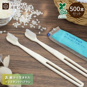 CX^g nuV oCI}X 500{ Zbg | uV  oCI}X ĝ  ܂Ƃߔ  GR ECO SDGs TXeiu  v팸 CO2팸 ΍ { AjeB 