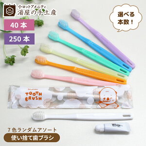 ǂp ĝănuV JS-5M 7FA\[g 炱̂ 40{ or 250{(Iׂ{)Zbg | uV ĝ nuV qp qǂ n~KL ǂpnuV  n~KL`[u