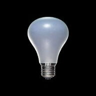 東芝 ブルーソフトランプ 60W 口金E26 LB100V60W-NA