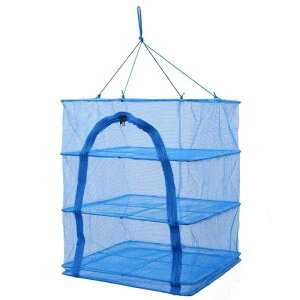 㐻쏊(ONOE)  ON H؂̊ AEghAhCt[YɎgp\ oUŏoꂵՂ |G` AEghA Lv