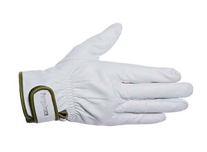 yMG[X Yv NXgCW[ Aet/ t[TCY