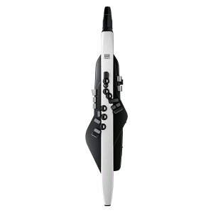 ���[�����h Roland/AEROPHONE AE-20 �G�A���t�H�� �d�q�Ǌy�� �f�W�^���T�b�N�X �A�v��/Bluetooth�Ή�