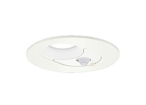 LED�_�E�����C�g �������a125mm �����F�^�C�v ������80mm