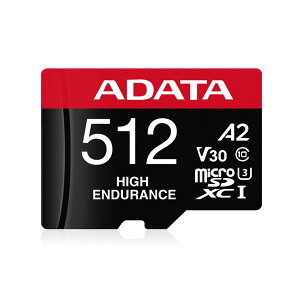 MicroSD V10 V30