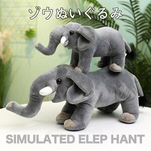 ʂ ]E  A  Aj}  킢 n u  CeA a j v[g G Mtg 30cm 40cm