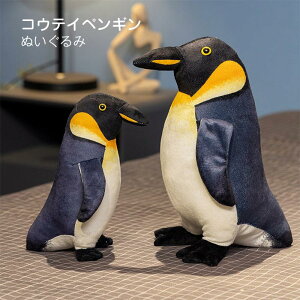 REeCyM ʂ A  ʂ 킢 Gy[yM  n q ǂ LbY u CeA a j v[g G Mtg 25cm 35cm