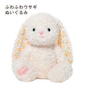 ETM ʂ e rbg ӂӂ 킢 S  ETM̂ʂ   CeA v[g Mtg 蕨 LbY qǂ a NX}X j 38cm