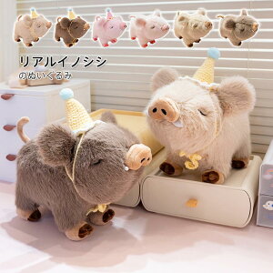 ̂ ʂ u^ ӂ 킢  WILD BOAR  q v[g Mtg ӂӂ a LO 蕨 j    jp D _炩 ܂