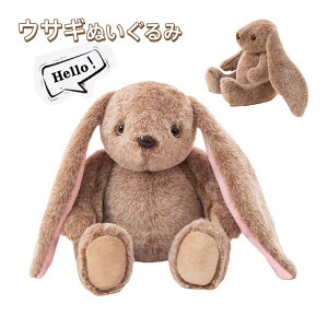 ETM ʂ  킢  Aj} ӂӂ ̂ʂ ETM̃tJtJ  lC oYj a NX}X Mtg v[g 20cm 