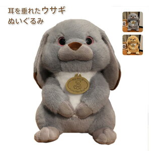 ETM ʂ  킢  Aj} ӂӂ ̂ʂ ETM̃tJtJ  lC oYj a NX}X Mtg v[g 23cm 