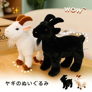 M r ʂ Rr ₵  A  q ޏ a j NX}X v[g Mtg Goat