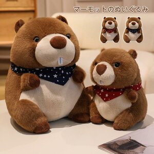 }[bgʂ A ʂ  ӂ  ܂܂  K ɗD y Mtg 킢  qǂ XgX U@_@ɏ@v[g