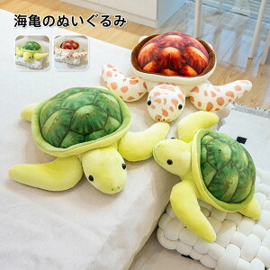 ʂ  J  T  NbV q  Cm  Aj} LbY ӂӂŖ _炩 Sn v[g 45cm50cm