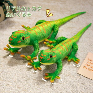 gJQ ʂ Ƃ  낢 q  A ӂӂ ঒  u  CeA  50cm 65cm