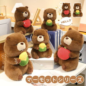 }[bgʂ A ʂ  S gERV ӂ  ܂܂  K ɗD y Mtg 킢  qǂ XgX U@_@