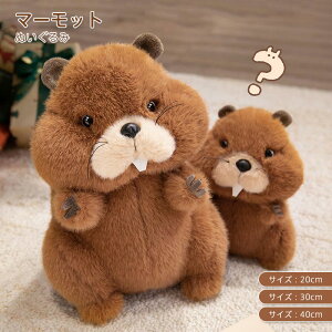 }[bgʂ A groundhog ʂ  ӂ  ܂܂  K ɗD y Mtg 킢  qǂ XgX U@_@ɏ@v[