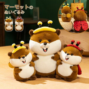 }[bgʂ A ʂ   RXv I egEV  ܂܂  K ɗD y Mtg 킢  qǂ XgX U@_@