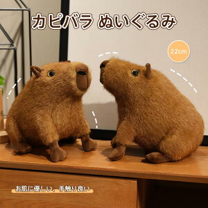 ʂ Jso  NbV  Q  ӂӂ ӂ _炩  Mtg v[g xbh[ NX}X ޏ q 22cm