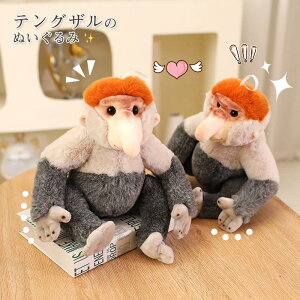 ʂ eOU  T   JbR D  ʐ^ 蕨 Mtg q a v[g j 蕨 27cm