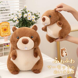 }[bgʂ A groundhog ʂ  ӂ  ܂܂  K ɗD y Mtg 킢  qǂ XgX U _ ɏ v[g 2