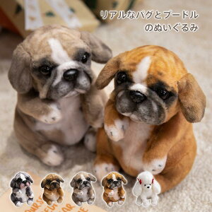 ʂ Ck   DOG pO v[h Gӂӂ 킢 ʂ Aj}    u 蕨 Mtg q ޏ a v[g 20cm26cm