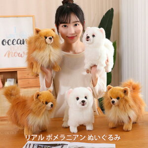   ʂ |jA Ck A 킢  ӂӂ _炩  u CeA v[g NX}X a o^C zCgf[ 蕨