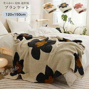 ѕz uPbg ^IPbg Ђ| G| | ɏ̔G ӂӂ ԕ  唻 120x150cm xbhX[ }`Jo[ X[Pbg y _炩 g  k 