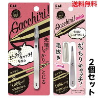 【送料無料】【大小2個セット】【正規品】 貝印 KAI SNS 話題 貝印 KAI がっちりキャッチ 毛抜き　ミニ(…