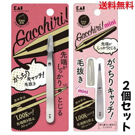 【送料無料】【大小2個セット】【正規品】貝印 KAI SNS 話題 貝印 KAI がっちりキャッチ 毛抜き　ミニ(シルバー) キャップ付き　先斜 ピンセット用 キャップ付き マユ KQ3215 貝印 KQ321 シルバー 1個 KAI 送料無料 SK06366 貝印 毛抜き 貝印 毛抜